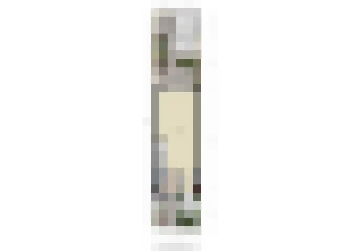 Kruizemunt 24 Numansdorp thumbnail 44
