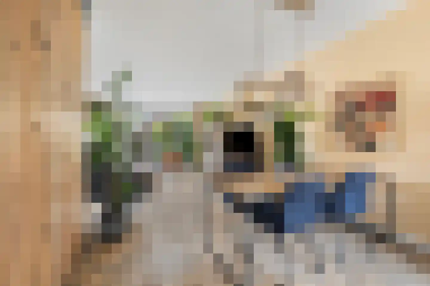 Kruizemunt 24 Numansdorp thumbnail 9
