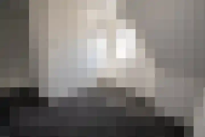 Kruizemunt 3 Vroomshoop thumbnail 19