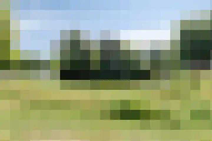 Kruizemunt 3 Vroomshoop thumbnail 21