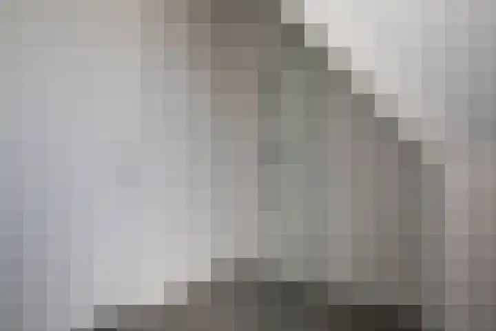 Kruizemunt 3 Vroomshoop thumbnail 22