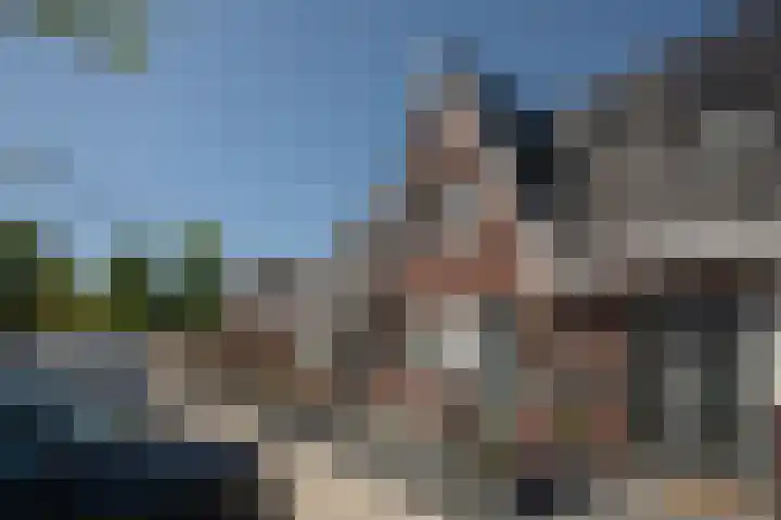 Kruizemunt 3 Vroomshoop thumbnail 5