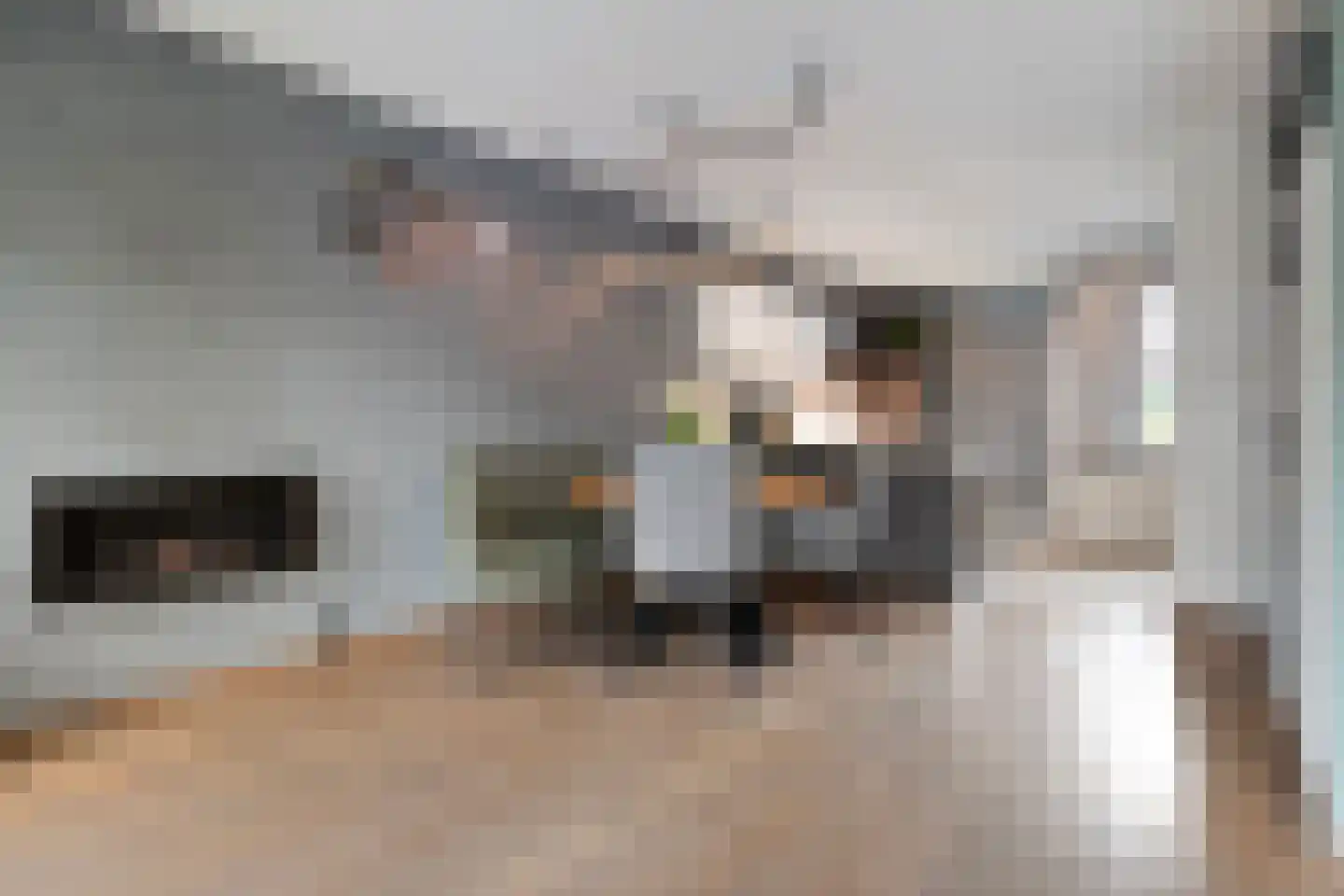 Kruizemunt 31 Raalte thumbnail 10