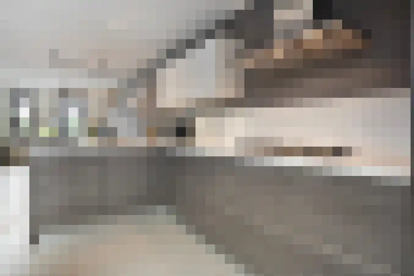 Kruizemunt 31 Raalte thumbnail 14