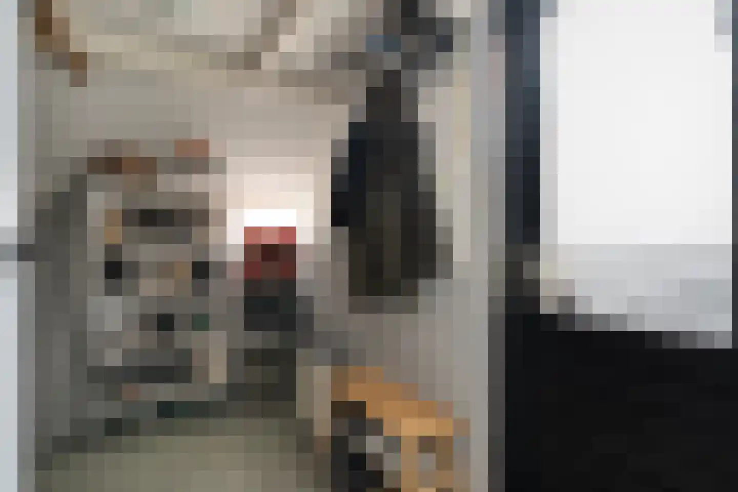 Kruizemunt 31 Raalte thumbnail 17