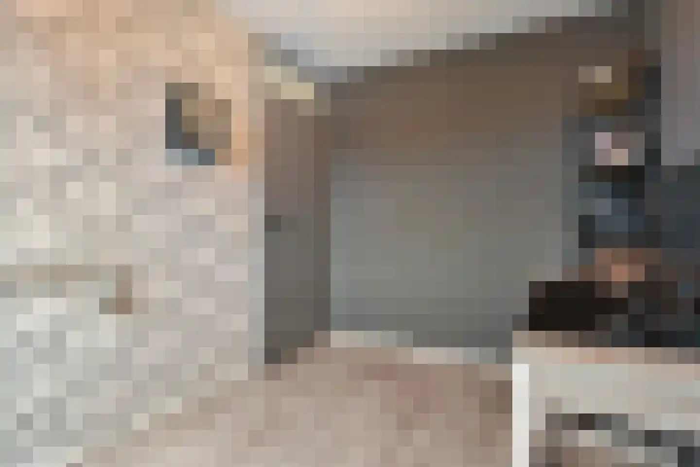Kruizemunt 31 Raalte thumbnail 27