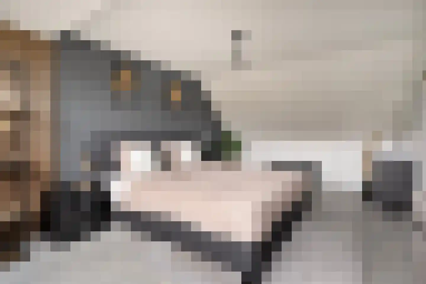 Kruizemunt 31 Raalte thumbnail 33