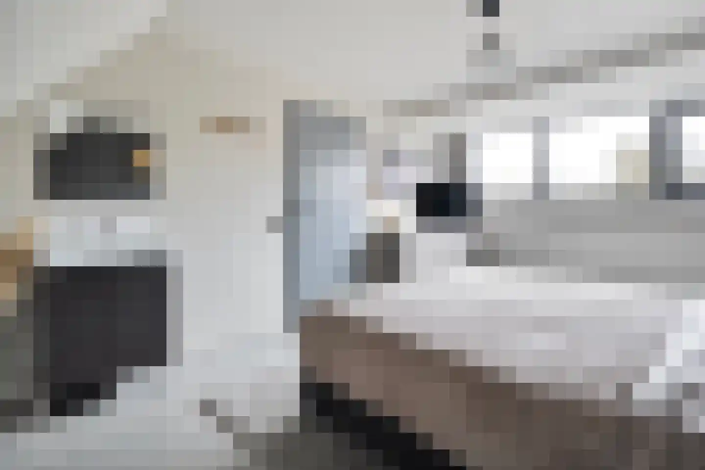 Kruizemunt 31 Raalte thumbnail 34