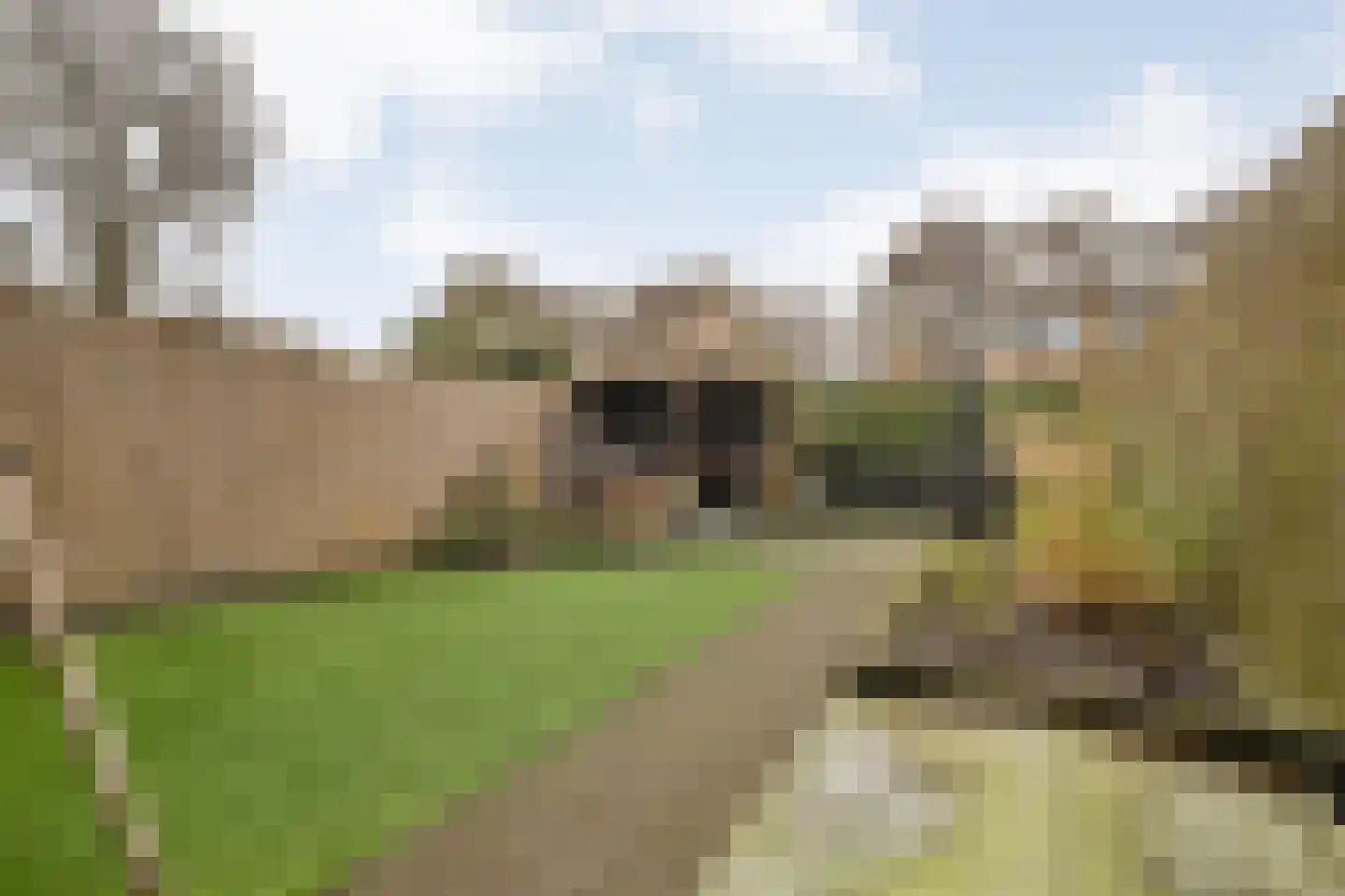 Kruizemunt 31 Raalte thumbnail 36