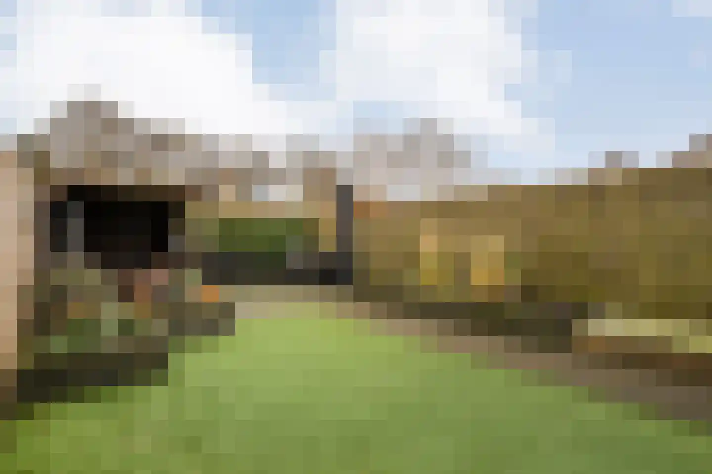 Kruizemunt 31 Raalte thumbnail 37