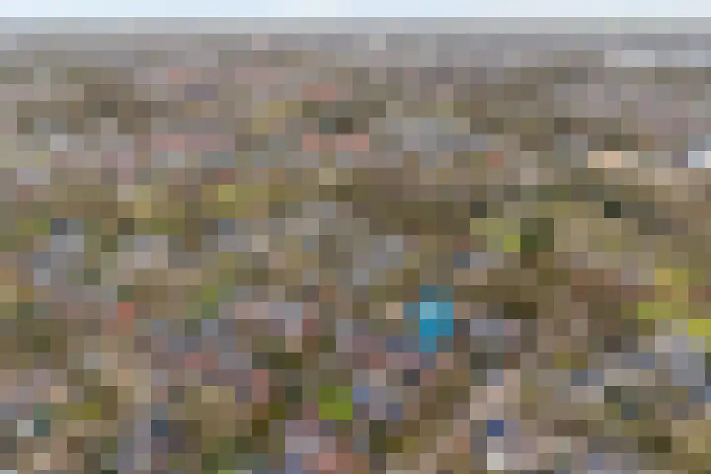 Kruizemunt 31 Raalte thumbnail 4