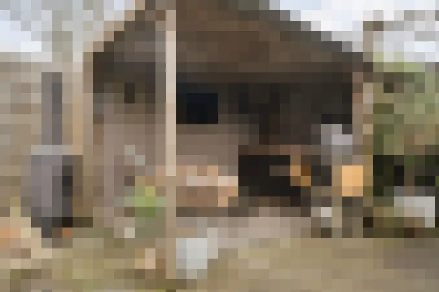 Kruizemunt 31 Raalte thumbnail 41