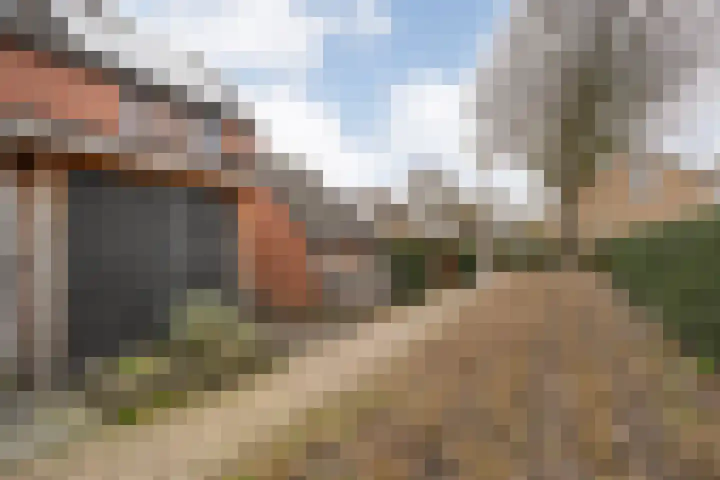 Kruizemunt 31 Raalte thumbnail 43