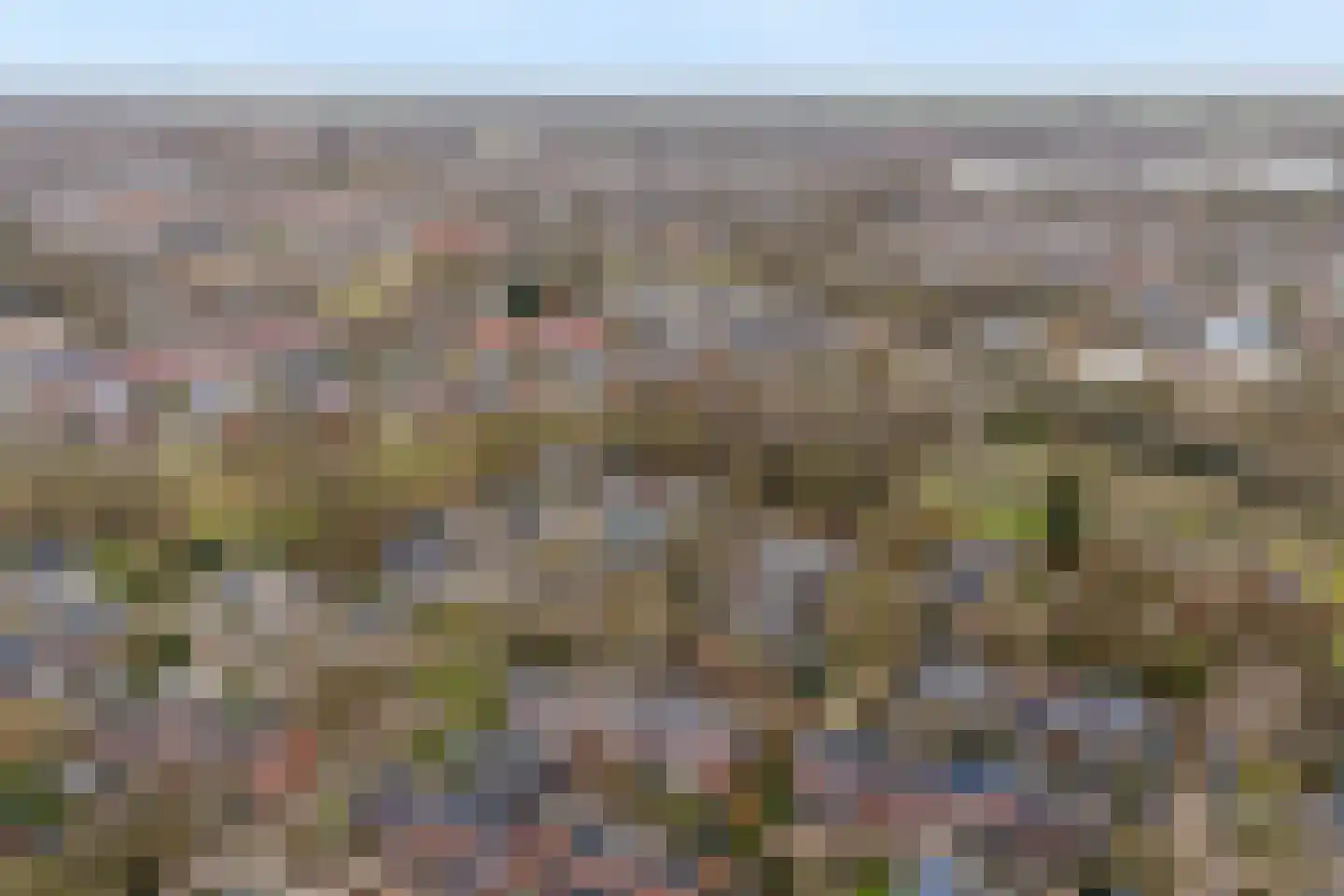 Kruizemunt 31 Raalte thumbnail 49
