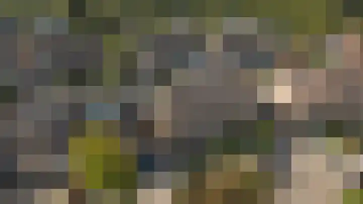 Kruizemunt 34 Dronten thumbnail 35