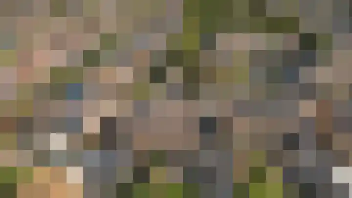 Kruizemunt 34 Dronten thumbnail 36