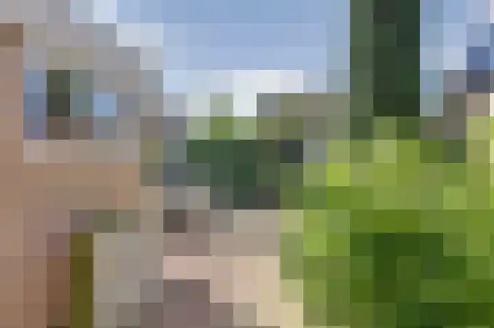 Kruizemunt 34 Dronten thumbnail 39