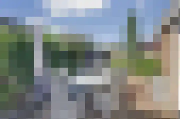 Kruizemunt 34 Dronten thumbnail 40