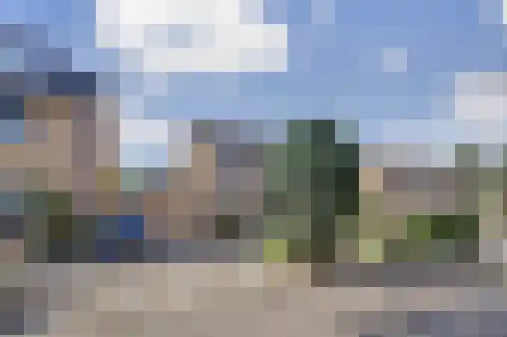 Kruizemunt 34 Dronten thumbnail 41