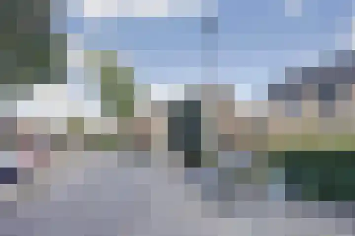 Kruizemunt 34 Dronten thumbnail 43