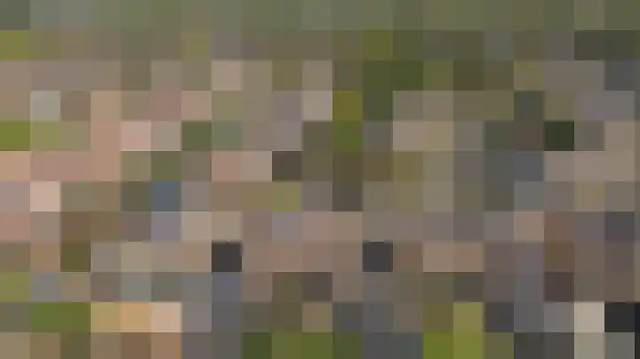 Kruizemunt 34 Dronten thumbnail 45
