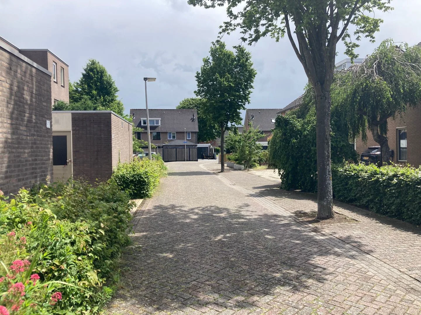Kruizemunt 35 Dronten thumbnail 26