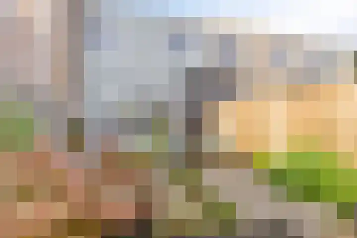 Kruizemunt 41 Dronten thumbnail 30