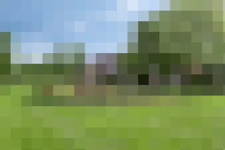 Kruizemunt 41 Dronten thumbnail 32