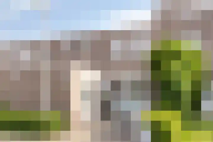 Kruizemunt 41 Dronten thumbnail 33