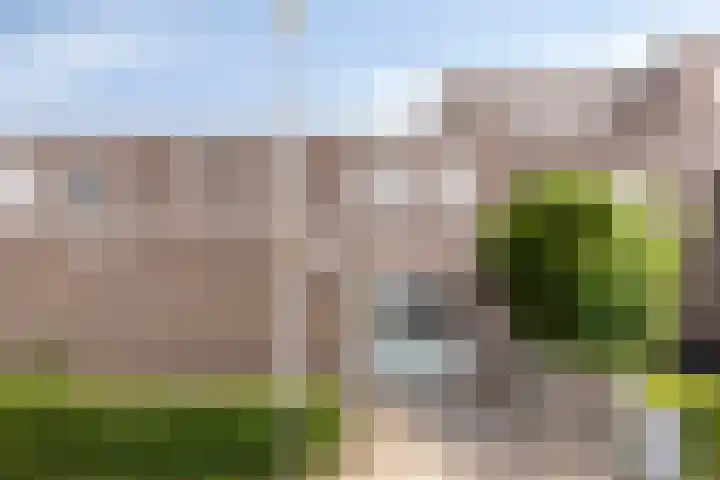 Kruizemunt 41 Dronten thumbnail 4