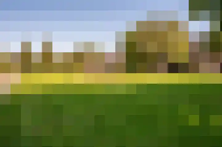 Kruizemunt 50 B Dronten thumbnail 60