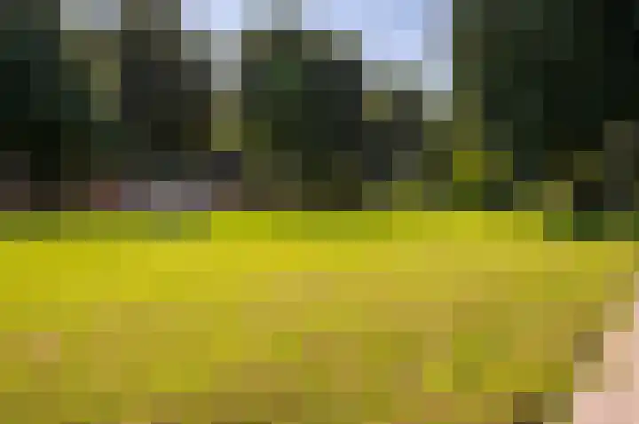 Kruizemunt 50 B Dronten thumbnail 61