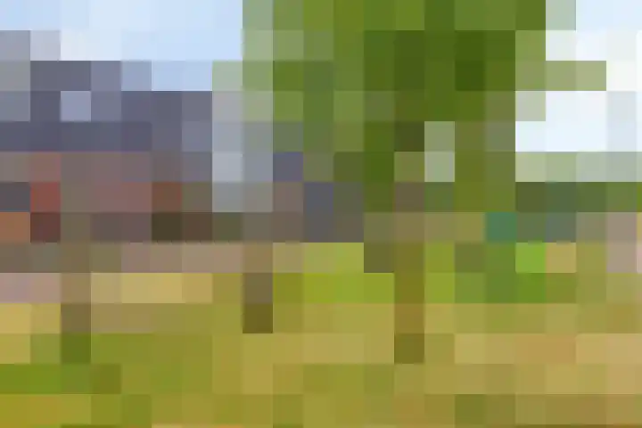 Kruizemunt 7 Numansdorp thumbnail 23