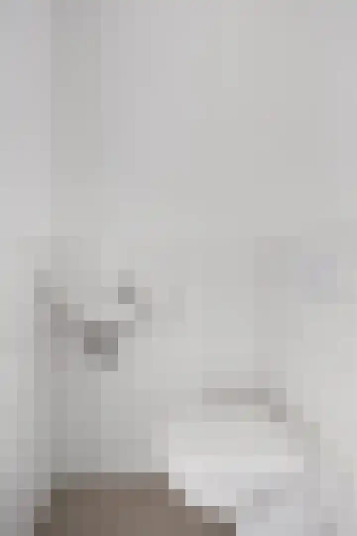 Kruizemunt 8 Vroomshoop thumbnail 6