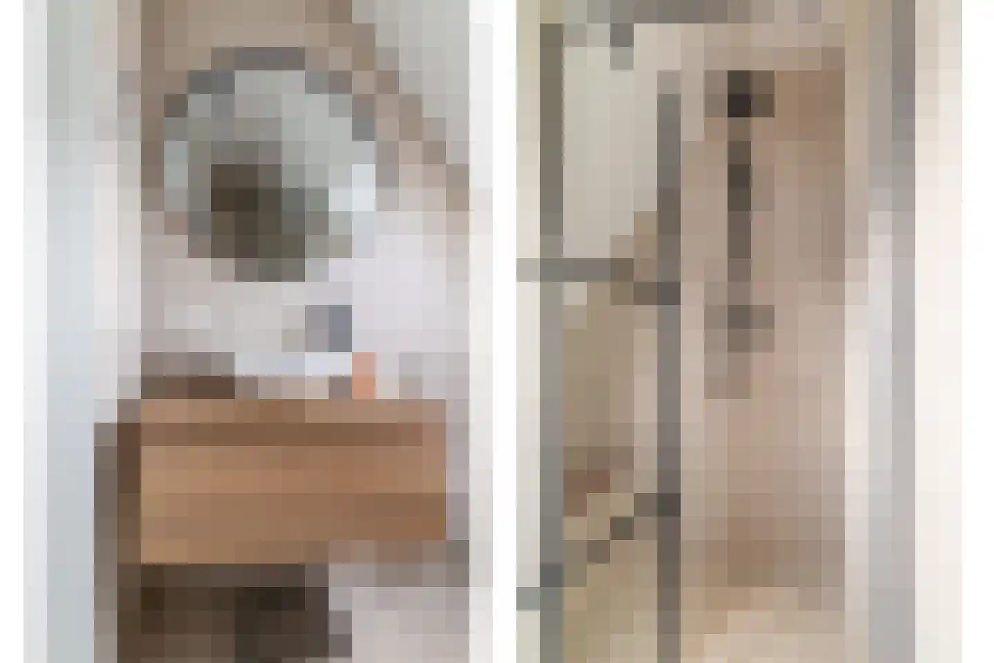 Kruizemunt 9 Vroomshoop thumbnail 18