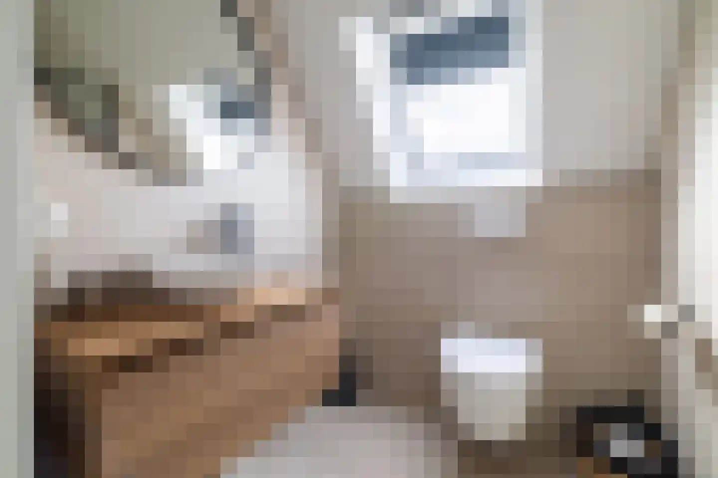 Kruizemunt 9 Vroomshoop thumbnail 19