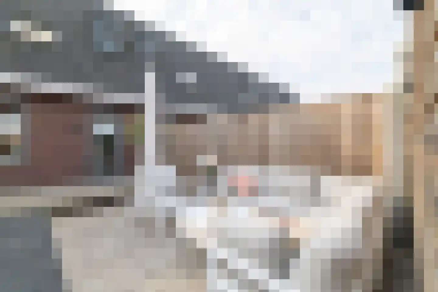 Kruizemunt 9 Vroomshoop thumbnail 23