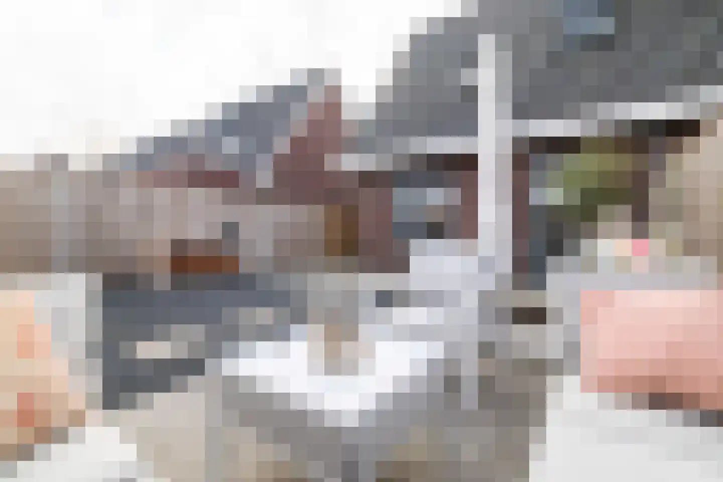 Kruizemunt 9 Vroomshoop thumbnail 24