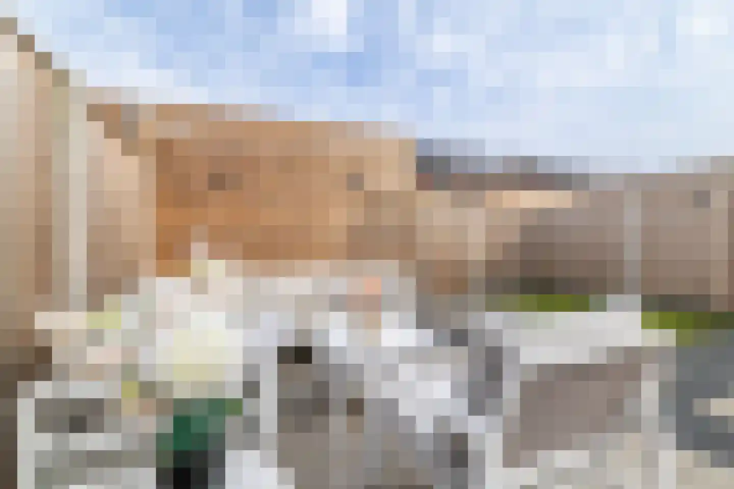 Kruizemunt 9 Vroomshoop thumbnail 25
