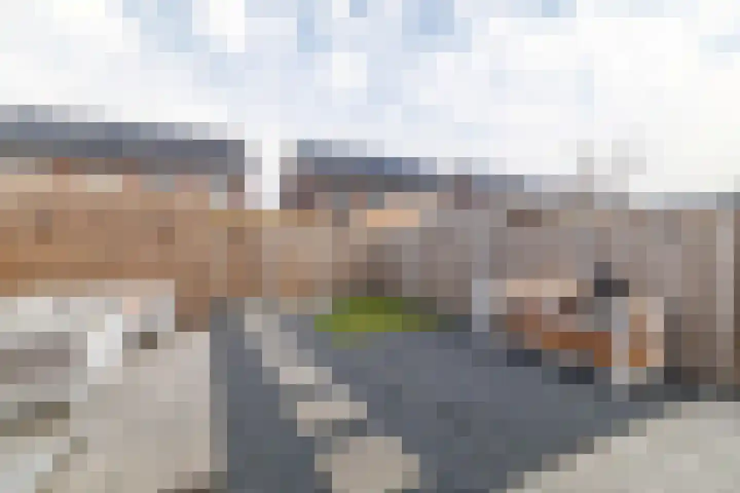 Kruizemunt 9 Vroomshoop thumbnail 27