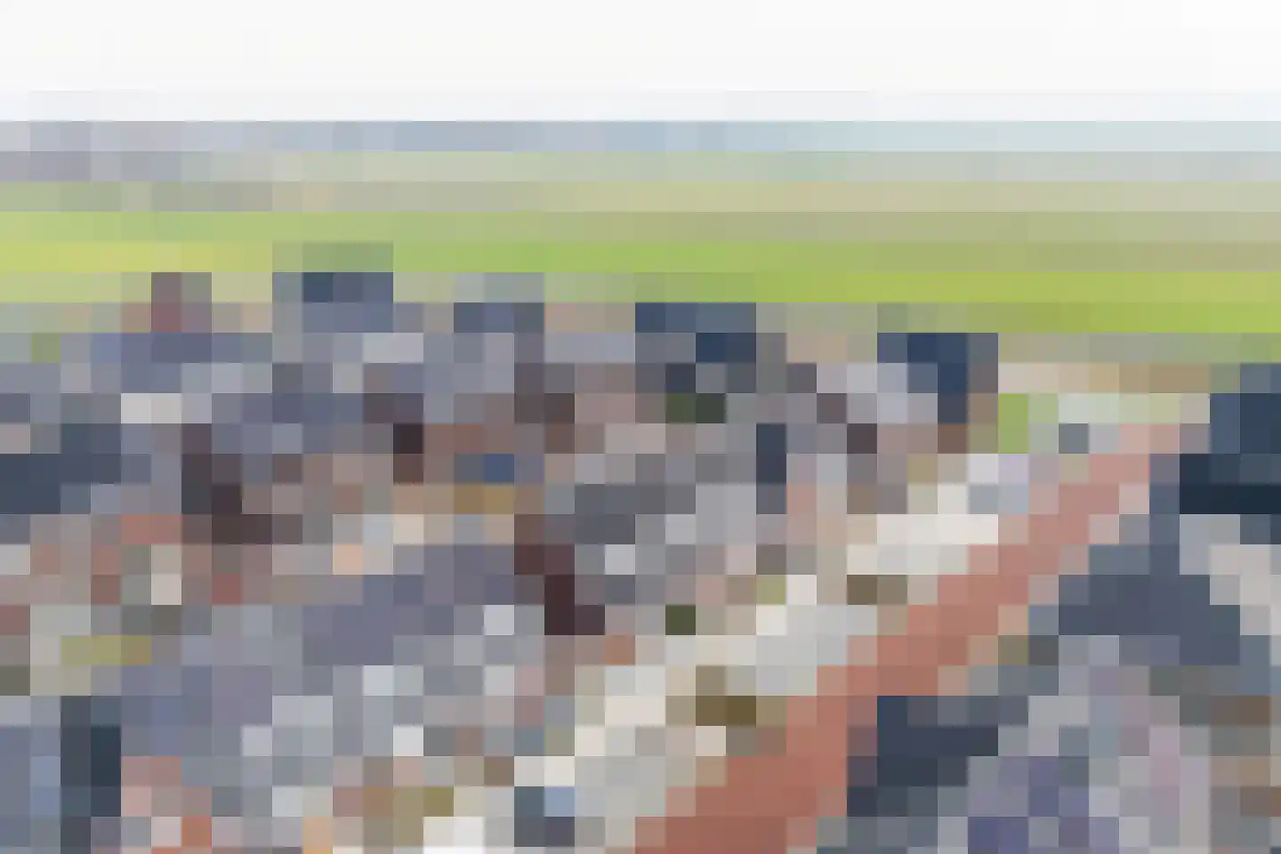 Kruizemunt 9 Vroomshoop thumbnail 28