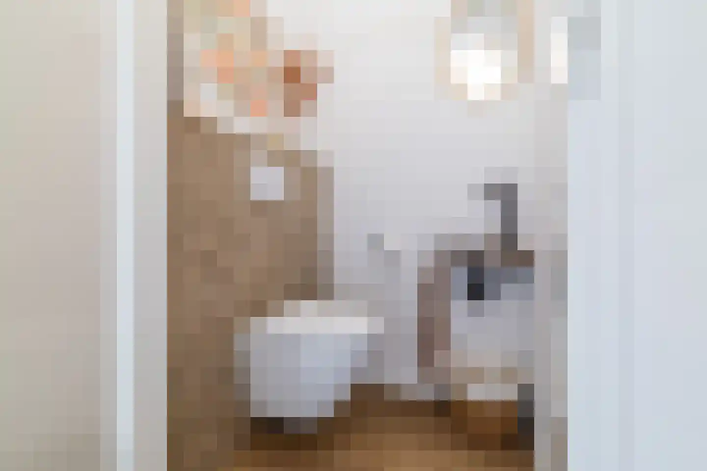 Kruizemunt 9 Vroomshoop thumbnail 6