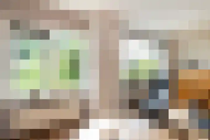 Kruizemunt 98 Dronten thumbnail 10