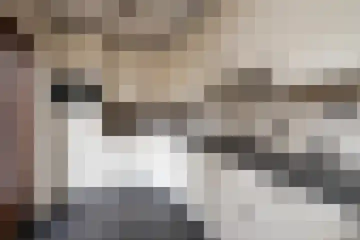 Kruizemunt 98 Dronten thumbnail 14