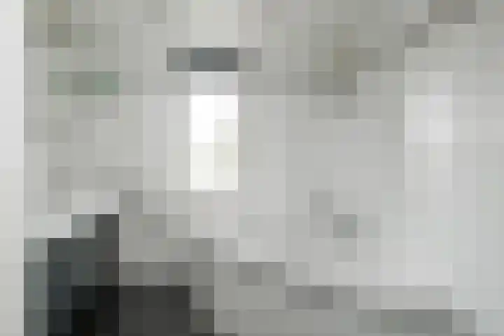 Kruizemunt 98 Dronten thumbnail 19
