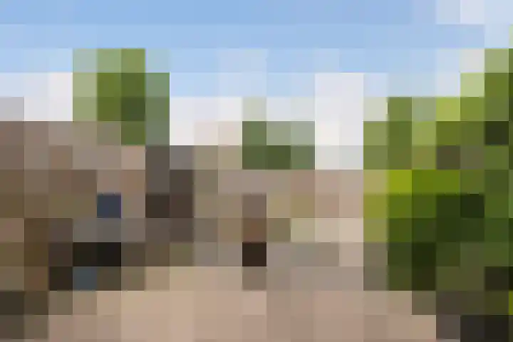 Kruizemunt 98 Dronten thumbnail 24