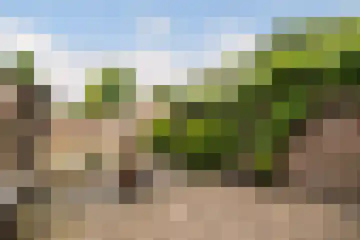 Kruizemunt 98 Dronten thumbnail 25