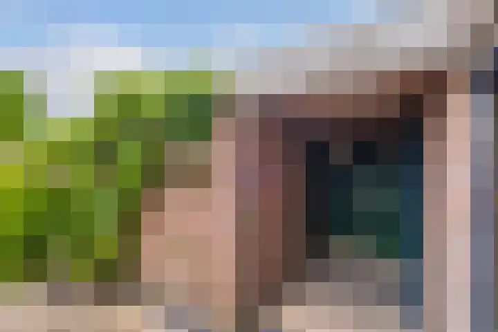 Kruizemunt 98 Dronten thumbnail 26