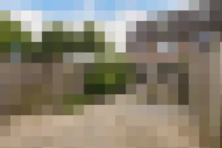 Kruizemunt 98 Dronten thumbnail 27