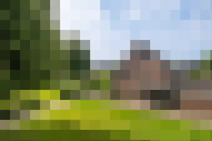 Kruizemunt 98 Dronten thumbnail 29